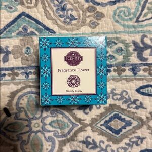 Scentsy Fragrance Flower Dainty Daisy. New. Free Shipping